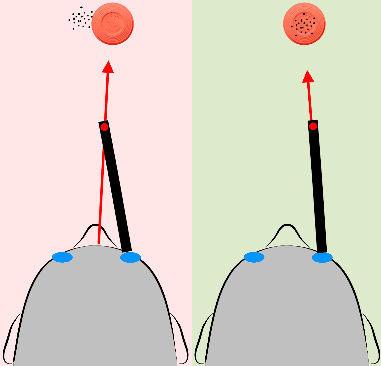 Vision Training NeuroSync Protocol for Shotgun with Ox String