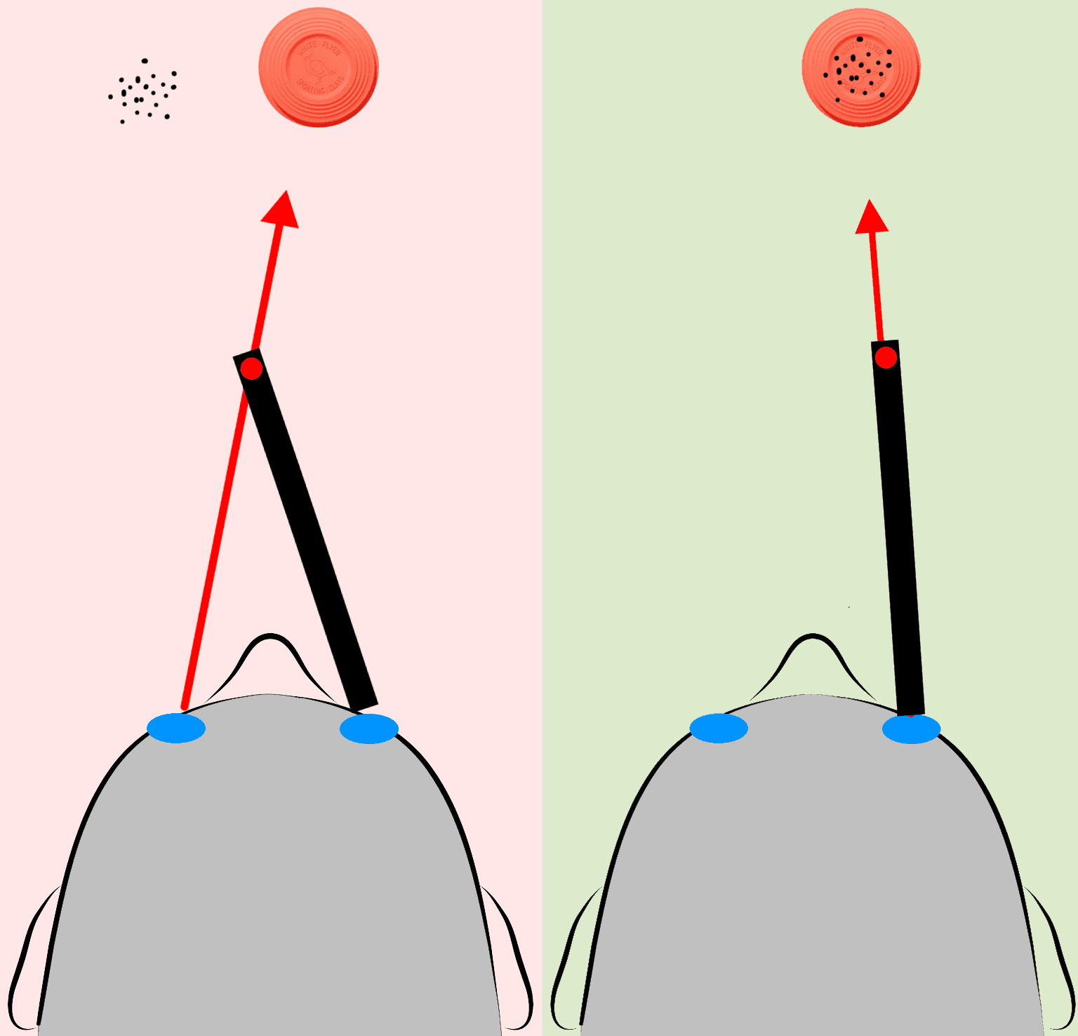 Neuro-Sync For Shotgun - Immediate Access